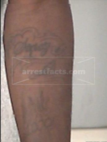 Sedrick L Hamilton