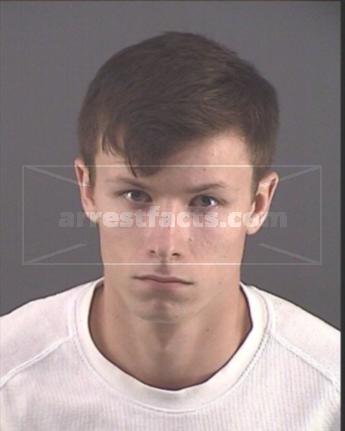 Timothy P Pelka