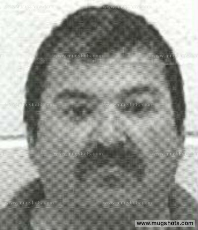 Michael D Petracca
