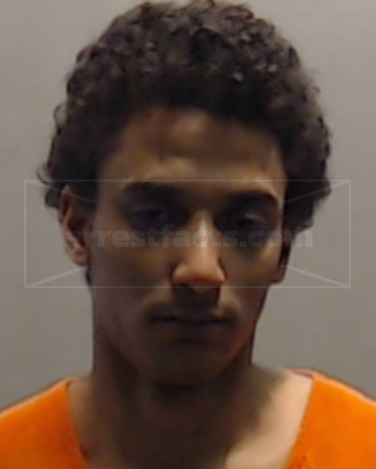 Joshua Ray-Webb Mcgee