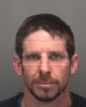 Wayne Nelson Potts