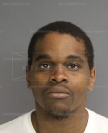 Derrick L Pitt