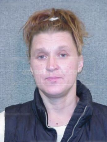 Lori L Lanaville