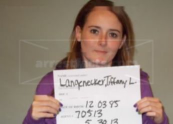 Tiffany L Langenecker