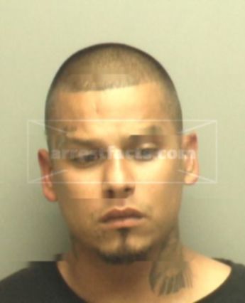 Tony Pena Olivo