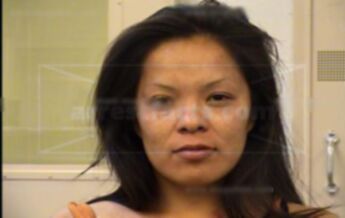 Quixauna Teasyawho Shepherd