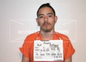 Paul Anthony Rosas