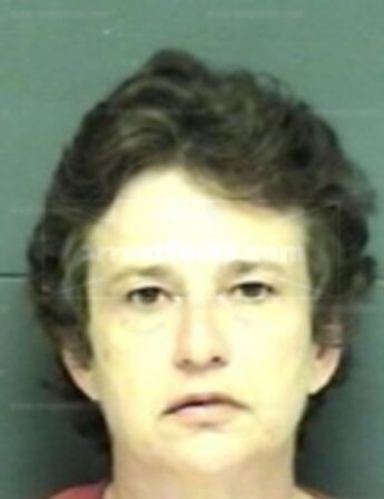 Lisa Johnson Everett