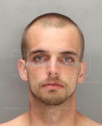 Thomas Robert Lee