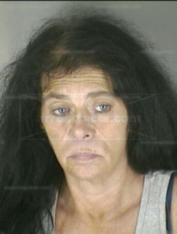 Vicki Lee Newhouse