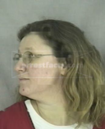 Sheri L Fleener