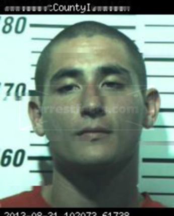 Logan John Larson