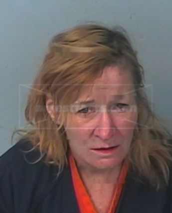 Julie Ann Letz