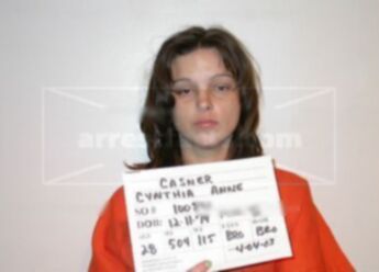 Cynthia Anne Casner