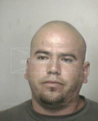 Jose L Martinez