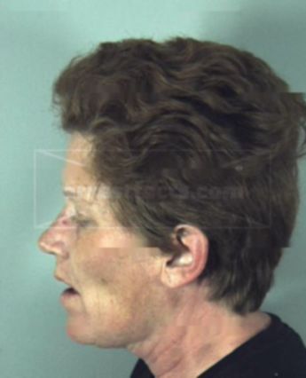 Diann Joan Creamer