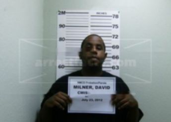 David Manuel Milner