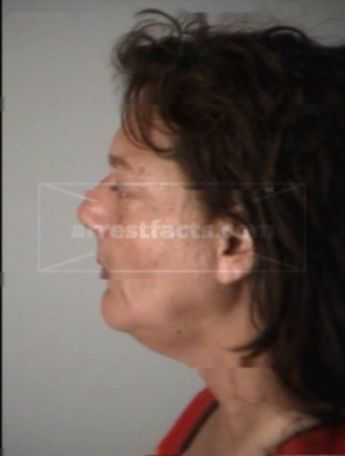 Elizabeth Ann Travis