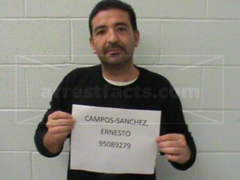 Ernesto Campos-Sanchez