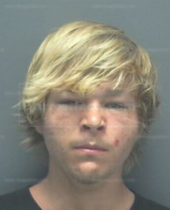 Dalton Williams