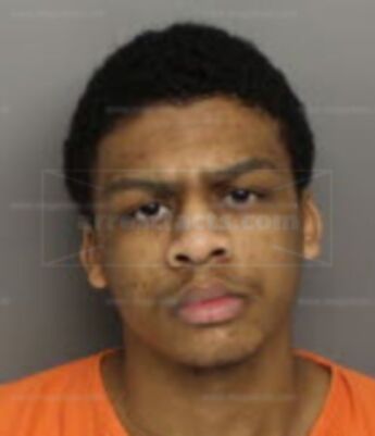Xavier Alonte Fleming
