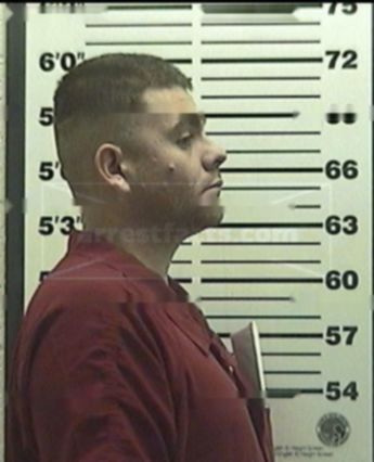 Steven M Griego