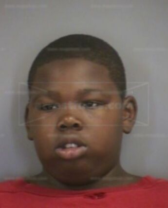 James S J Sampson
