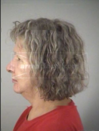 Carol Ann Folsom