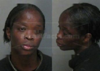 Belinda Ann Jenkins