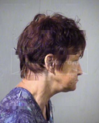 Susan J Tanner