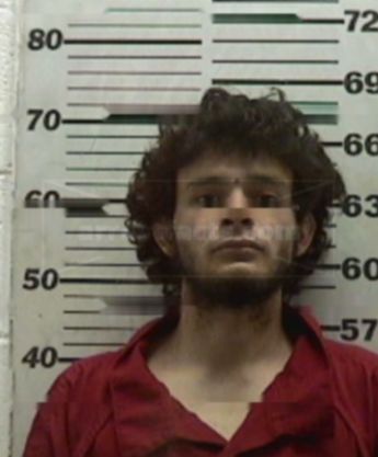 David A Arellano
