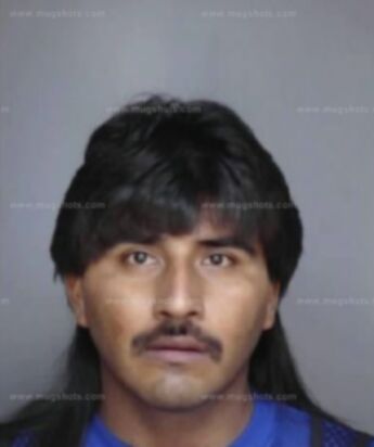 Gambino Arroyo