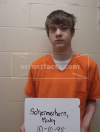 Micky J Schermerhorn