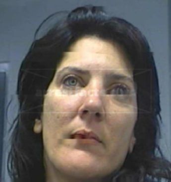 Sandy Lee Hollingsworth