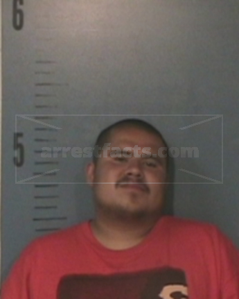 Joel Robert Flores
