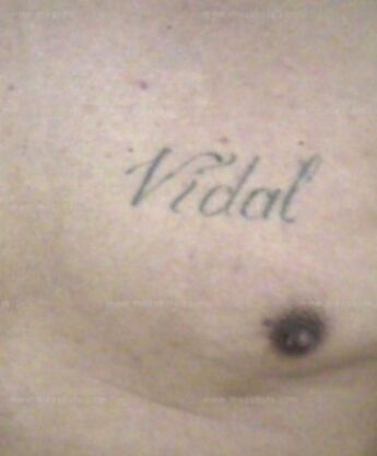 David G Vidal