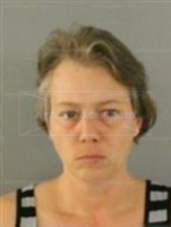 Ann Louise Silvernail