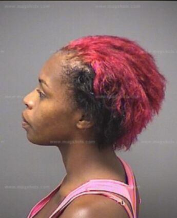 Makalah Shanide Lanier