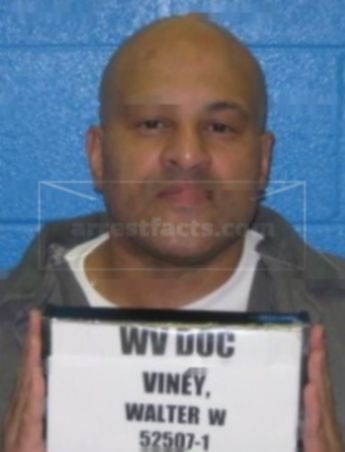 Walter W Viney