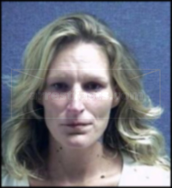 Robin Renee Breshears