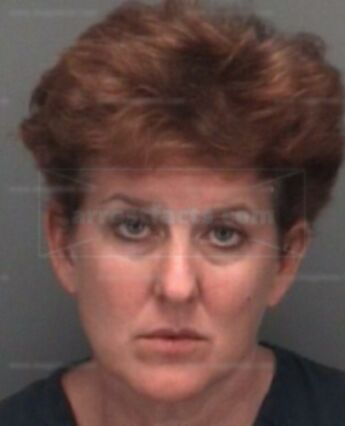 Teresa A Wellman