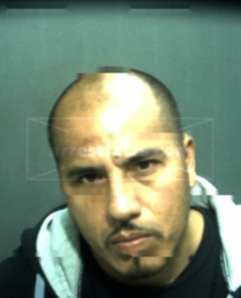 Miguel A Gallegos