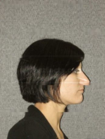 Amanda L Lavaque