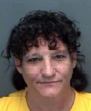 Patricia Anne Wheeler