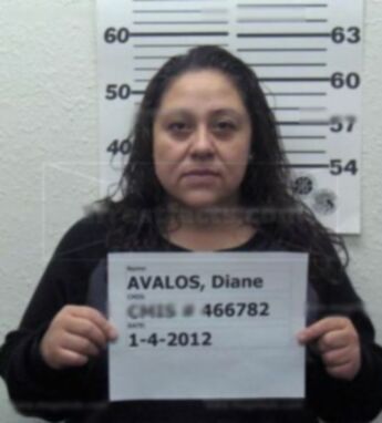 Diane Chacon Avalos