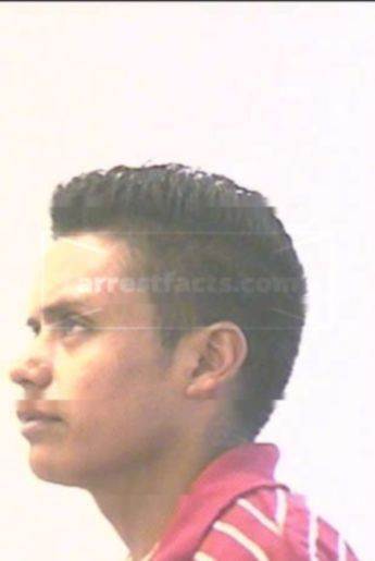 Jose Carmen Alvarez-Vanegas