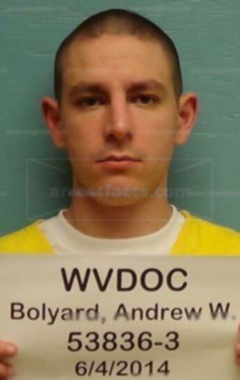 Andrew W Bolyard