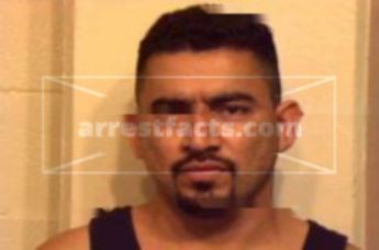 Martin Ayal Flores
