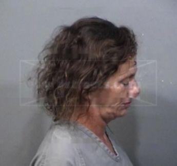 Lisa Karen Adams