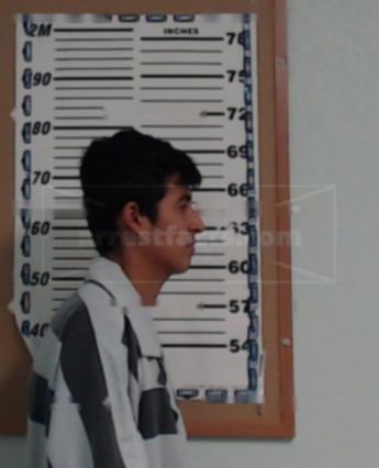 Bayron Palacios-Flores